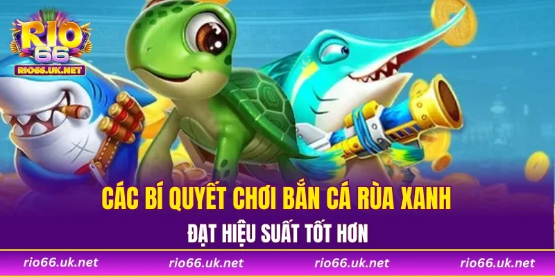 Các bí quyết chơi bắn cá rùa xanh đạt hiệu suất tốt hơn