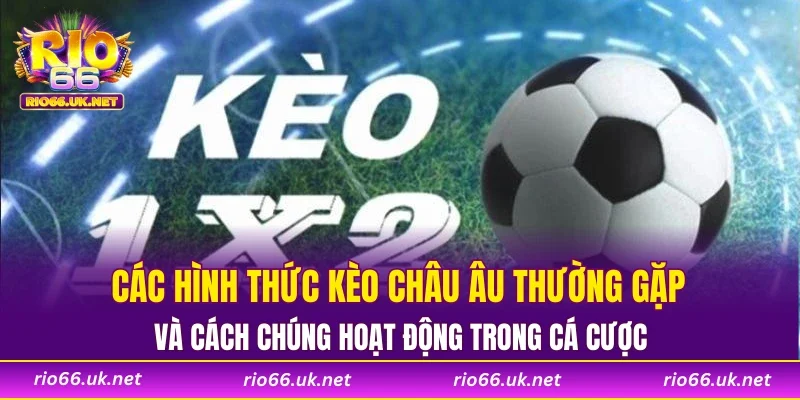 Các hình thức kèo châu Âu thường gặp và cách chúng hoạt động trong cá cược