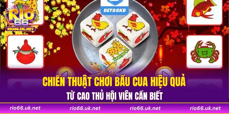 Chiến thuật chơi bầu cua hiệu quả từ cao thủ hội viên cần biết