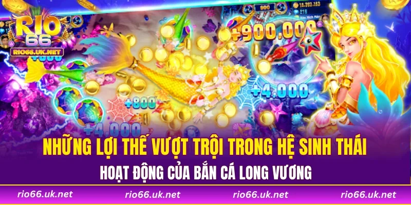 Những lợi thế vượt trội trong hệ sinh thái hoạt động của bắn cá Long Vương